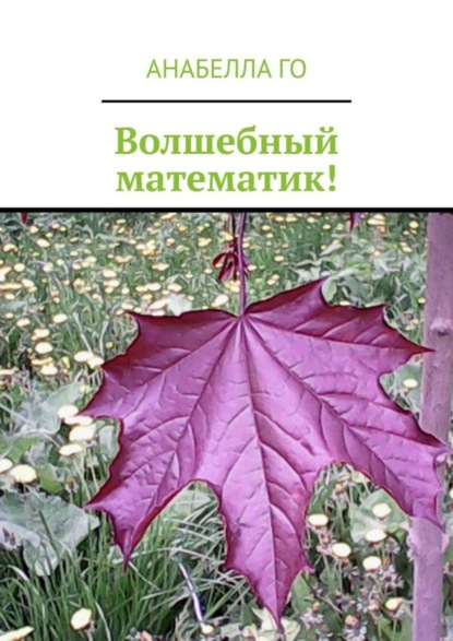 Скачать книгу Волшебный математик!
