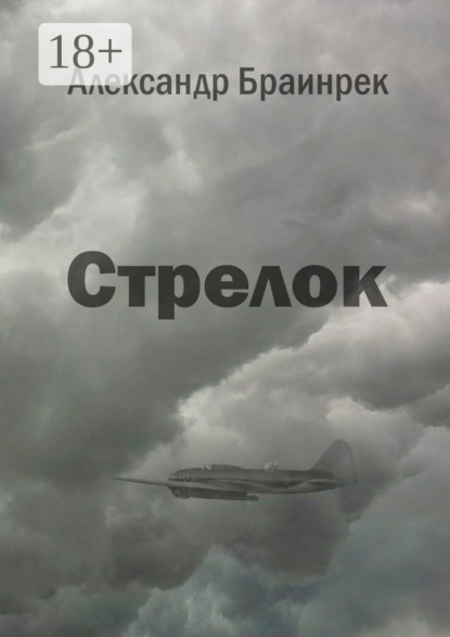 Скачать книгу Стрелок