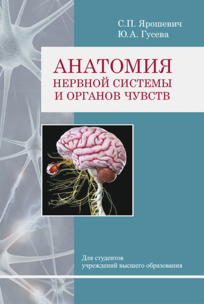 Скачать книгу Анатомия нервной системы и органов чувств