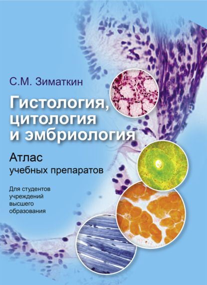 Скачать книгу Гистология, цитология и эмбриология