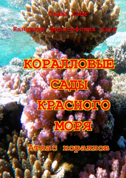 Скачать книгу Коралловые сады Красного моря. Атлас кораллов