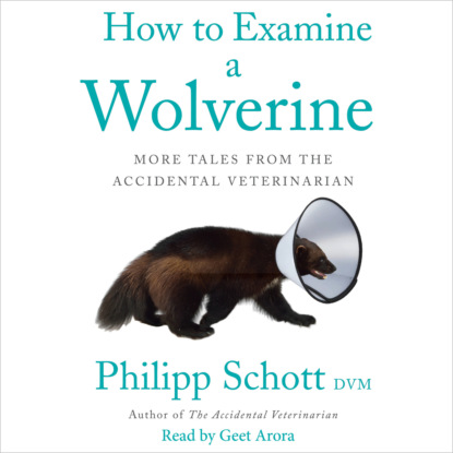 Скачать книгу How to Examine a Wolverine - More Tales from the Accidental Veterinarian (Unabridged)