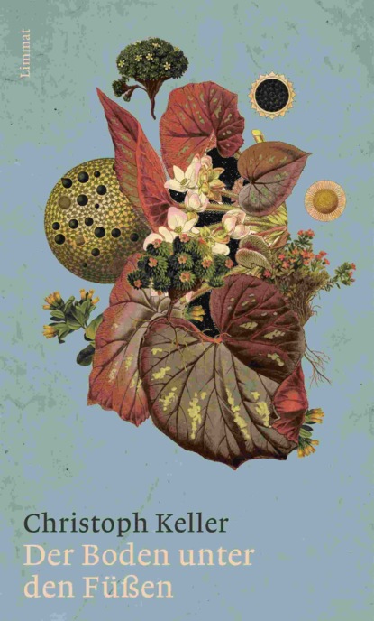 Скачать книгу Der Boden unter den Füssen