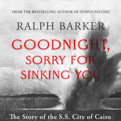 Скачать книгу Goodnight, Sorry for Sinking You (Unabridged)