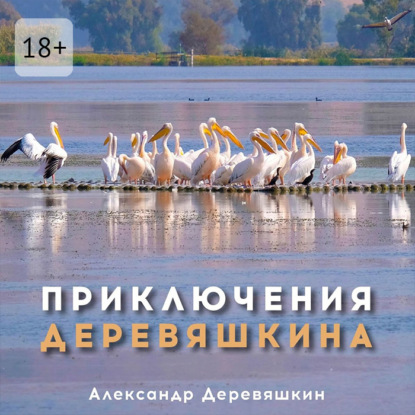 Скачать книгу Приключения Деревяшкина