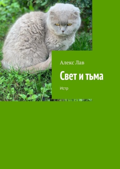 Скачать книгу Свет и тьма. Истр