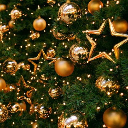 Скачать книгу Новый Год . Родословие Христа