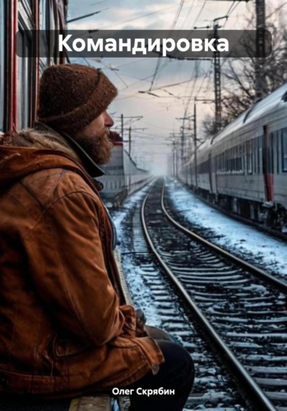 Скачать книгу Командировка