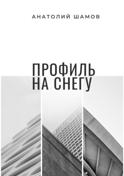 Скачать книгу Профиль на снегу. Философская и любовная лирика