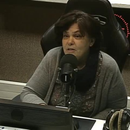 Скачать книгу Как Карамзин стал революционером русского языка и консерватором истории