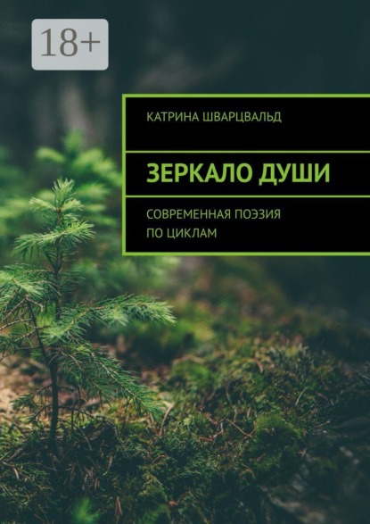 Скачать книгу Зеркало души. Современная поэзия по циклам