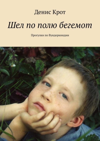 Скачать книгу Шел по полю бегемот. Прогулки по Вундеркиндии