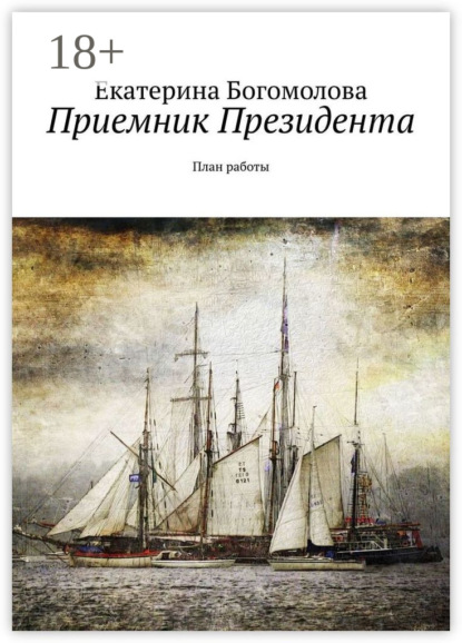 Скачать книгу Приемник Президента. План работы