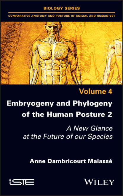 Скачать книгу Embryogeny and Phylogeny of the Human Posture 2