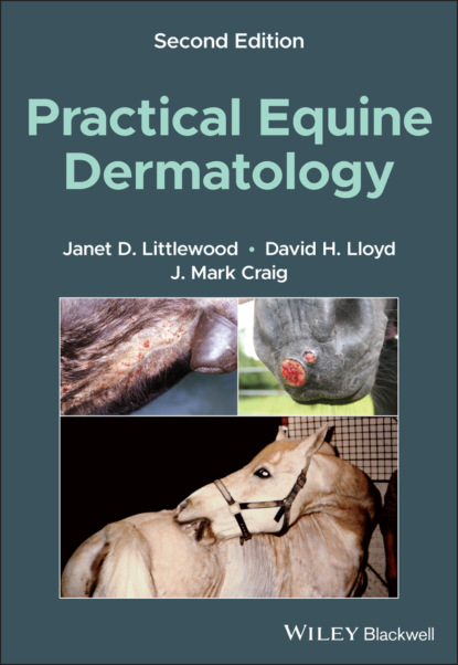 Скачать книгу Practical Equine Dermatology