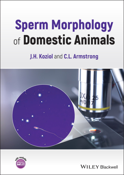 Скачать книгу Sperm Morphology of Domestic Animals