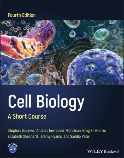 Скачать книгу Cell Biology