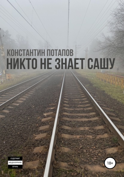 Скачать книгу Никто не знает Сашу