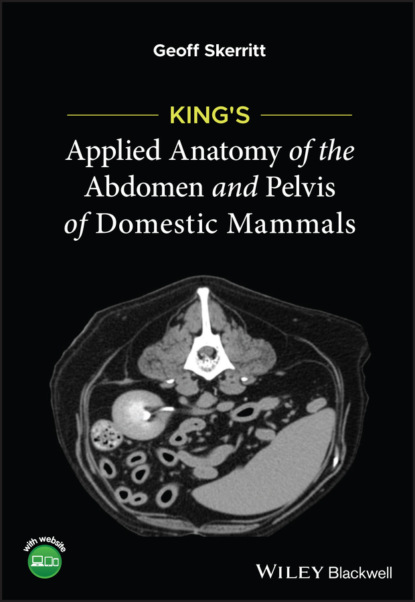 Скачать книгу King's Applied Anatomy of the Abdomen and Pelvis of Domestic Mammals