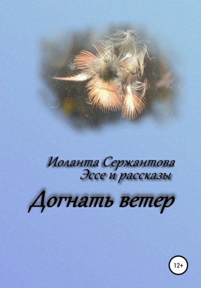 Скачать книгу Догнать ветер