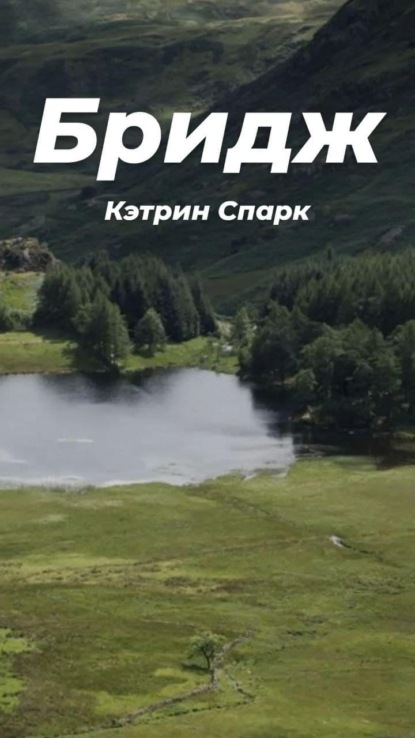 Скачать книгу Бридж
