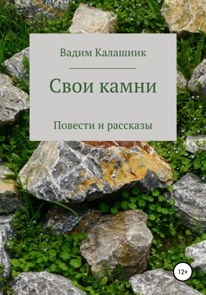 Скачать книгу Свои камни