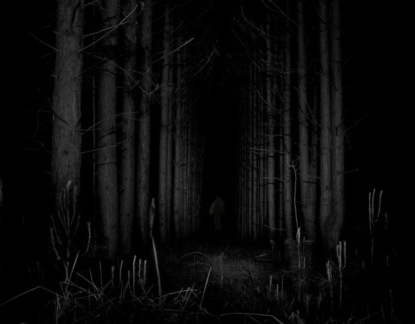 Скачать книгу Страх неизвестности