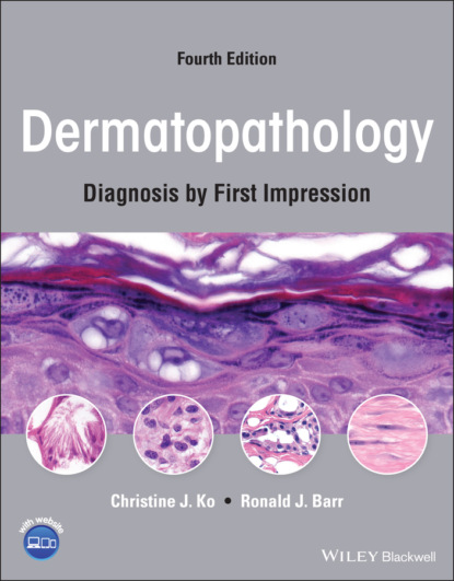 Скачать книгу Dermatopathology