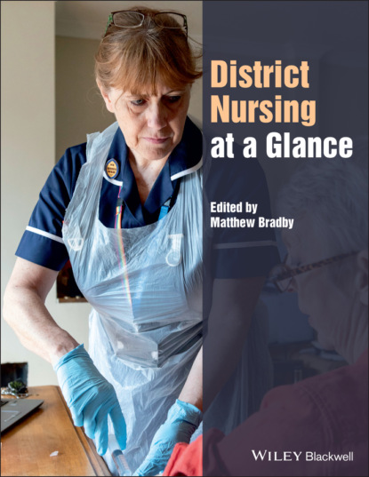 Скачать книгу District Nursing at a Glance