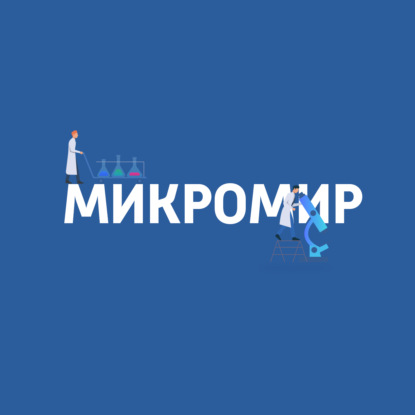 Скачать книгу Микромир