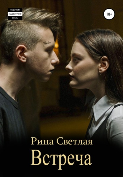 Скачать книгу Встреча
