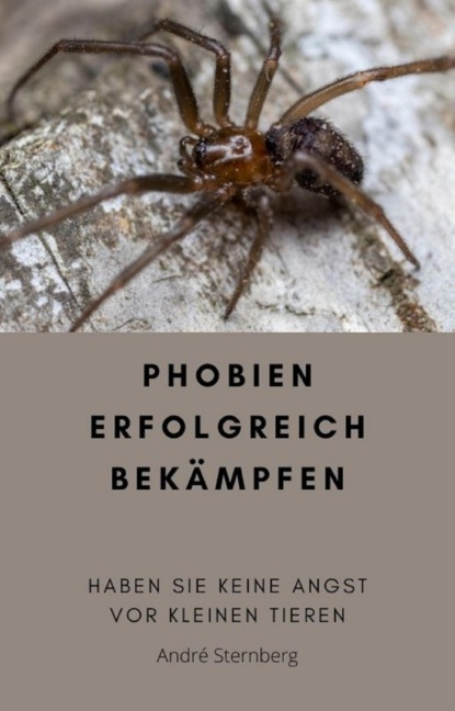 Скачать книгу Phobien erfolgreich bekämpfen