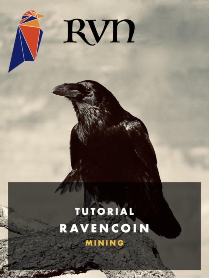Скачать книгу RVN Ravencoin Mining
