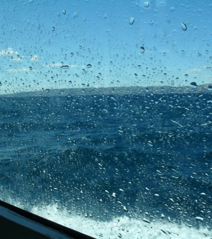 Скачать книгу Operativer Vorgang: Seetrift