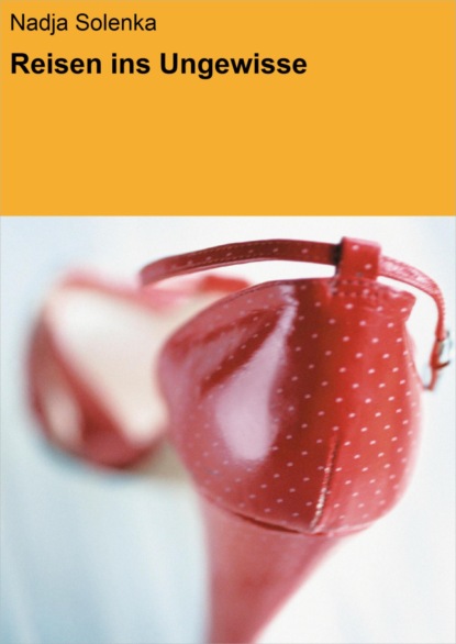 Скачать книгу Reisen ins Ungewisse