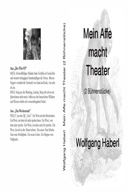 Скачать книгу Mein Affe macht Theater