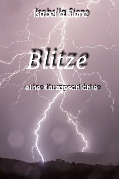 Скачать книгу Blitze