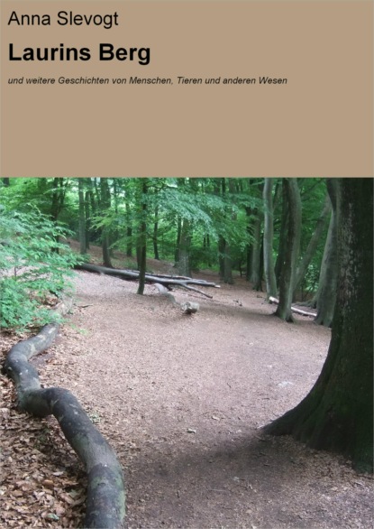 Скачать книгу Laurins Berg