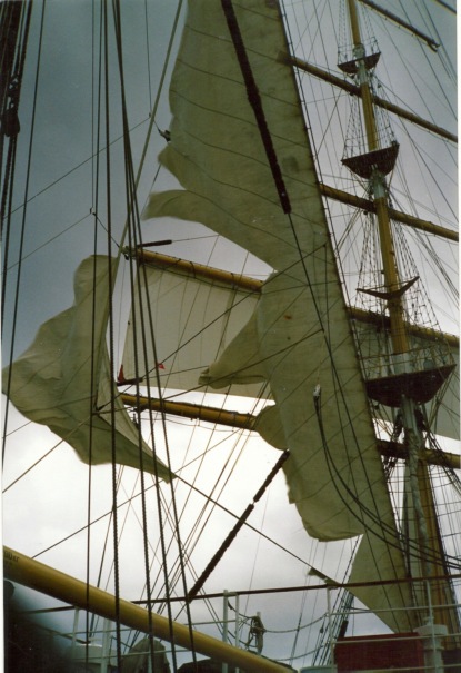 Скачать книгу ELIZABETHA