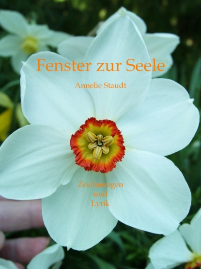 Скачать книгу Fenster zur Seele