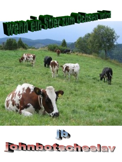 Скачать книгу wenn ein Stier zum Ochsen wird