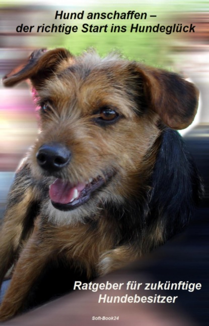 Скачать книгу Hund anschaffen