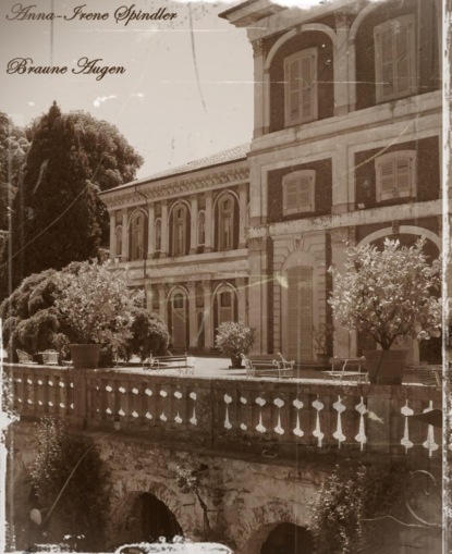 Скачать книгу Braune Augen