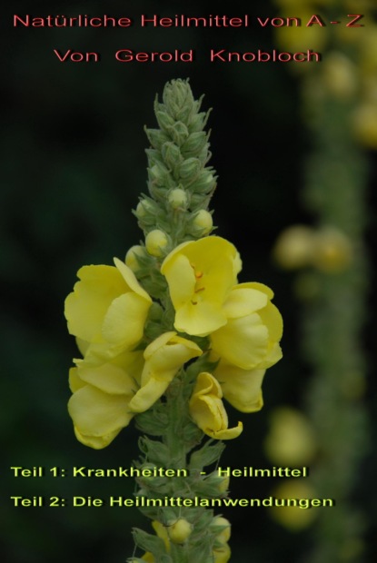 Скачать книгу Natürliche Heilmittel von A - Z