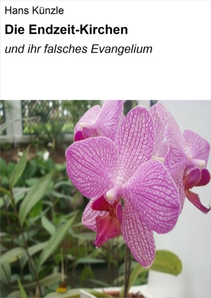 Скачать книгу Die Endzeit-Kirchen