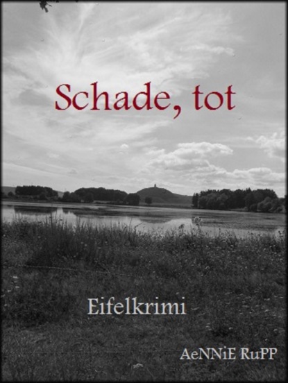 Скачать книгу Schade, tot