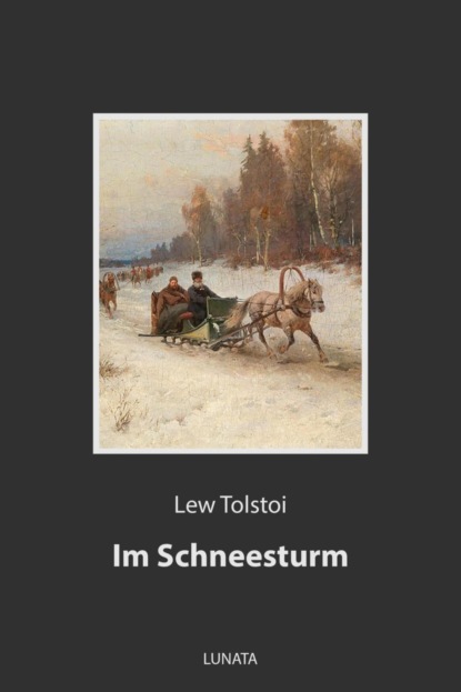 Скачать книгу Im Schneesturm