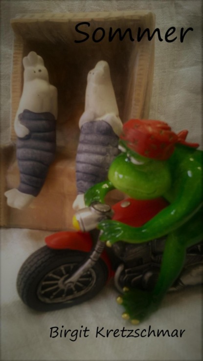 Скачать книгу Sommer