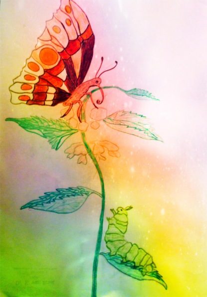 Скачать книгу Die Raupe Frieda und Fridolin der Schmetterling