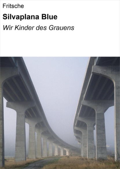 Скачать книгу Silvaplana Blue